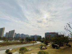 市一院王劲松当选为中华中医药学会综合医院中医药工作委员会第二届委员会委员