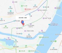 战“疫”日记——武汉，谢谢你